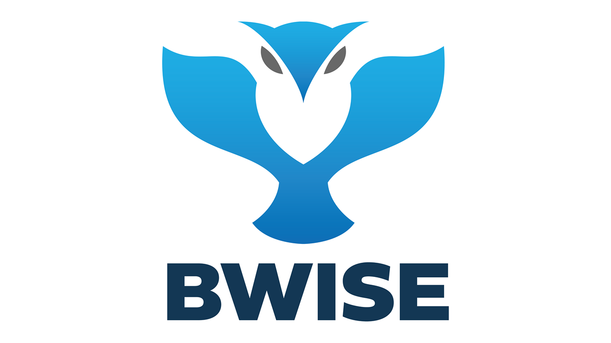 Simplifique As Operações De Distribuição Com O BWISE: Desbloqueando A ...