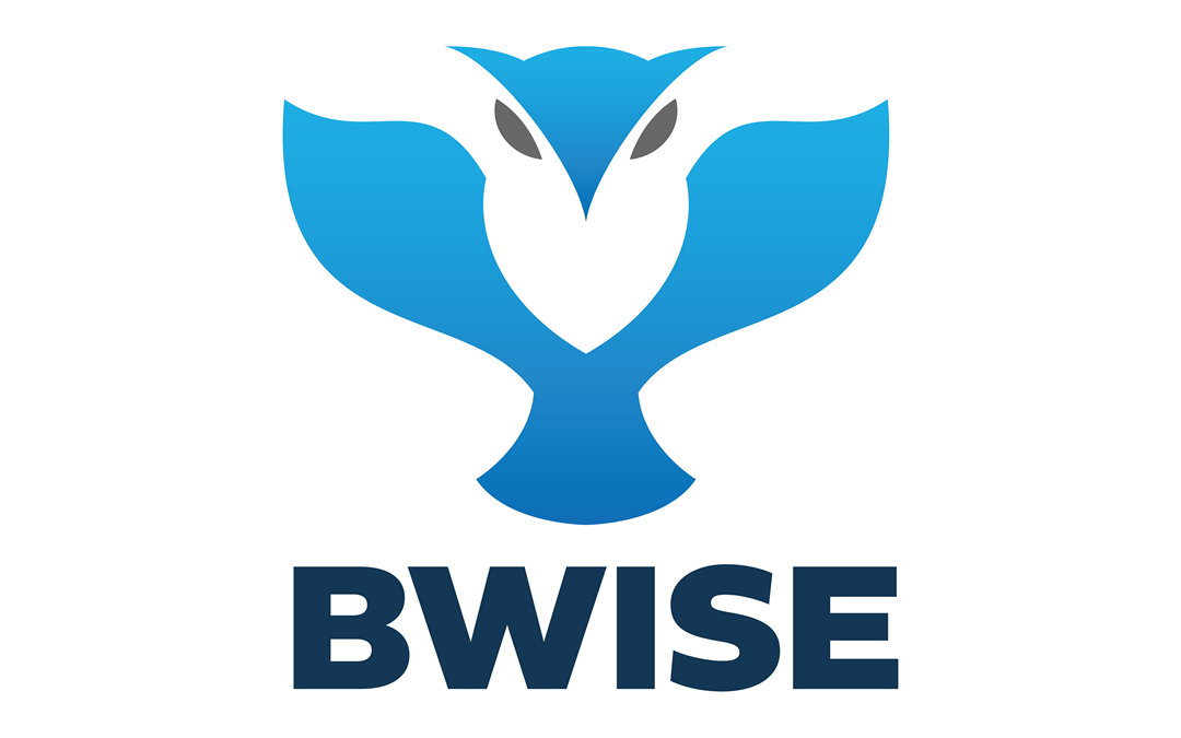 Royal4 Systems Launches BWISE Solutions, WMS for Small to Mid-size Business