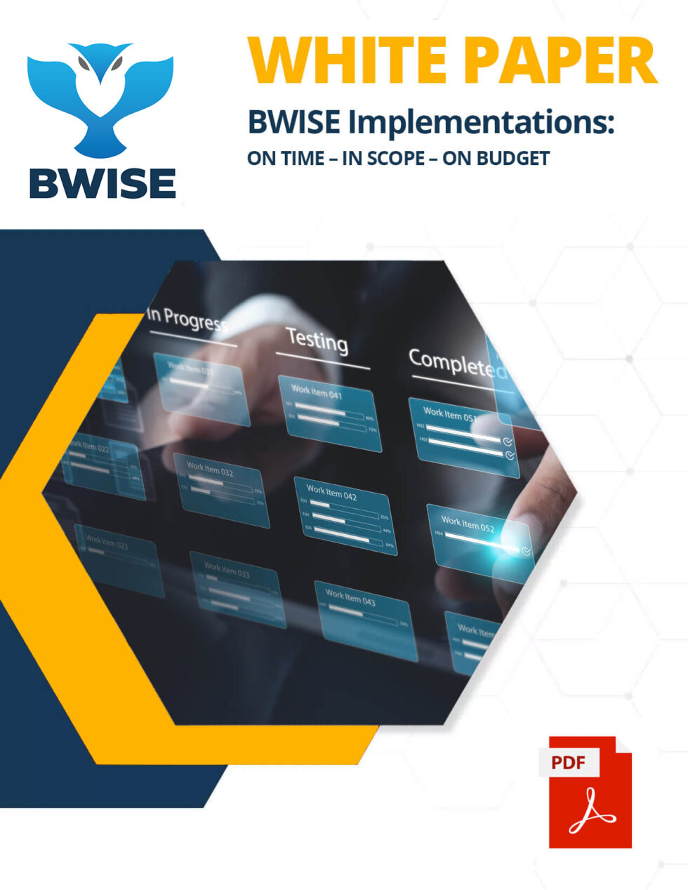 BWISE Implementation Whitepaper - Business-One BWise