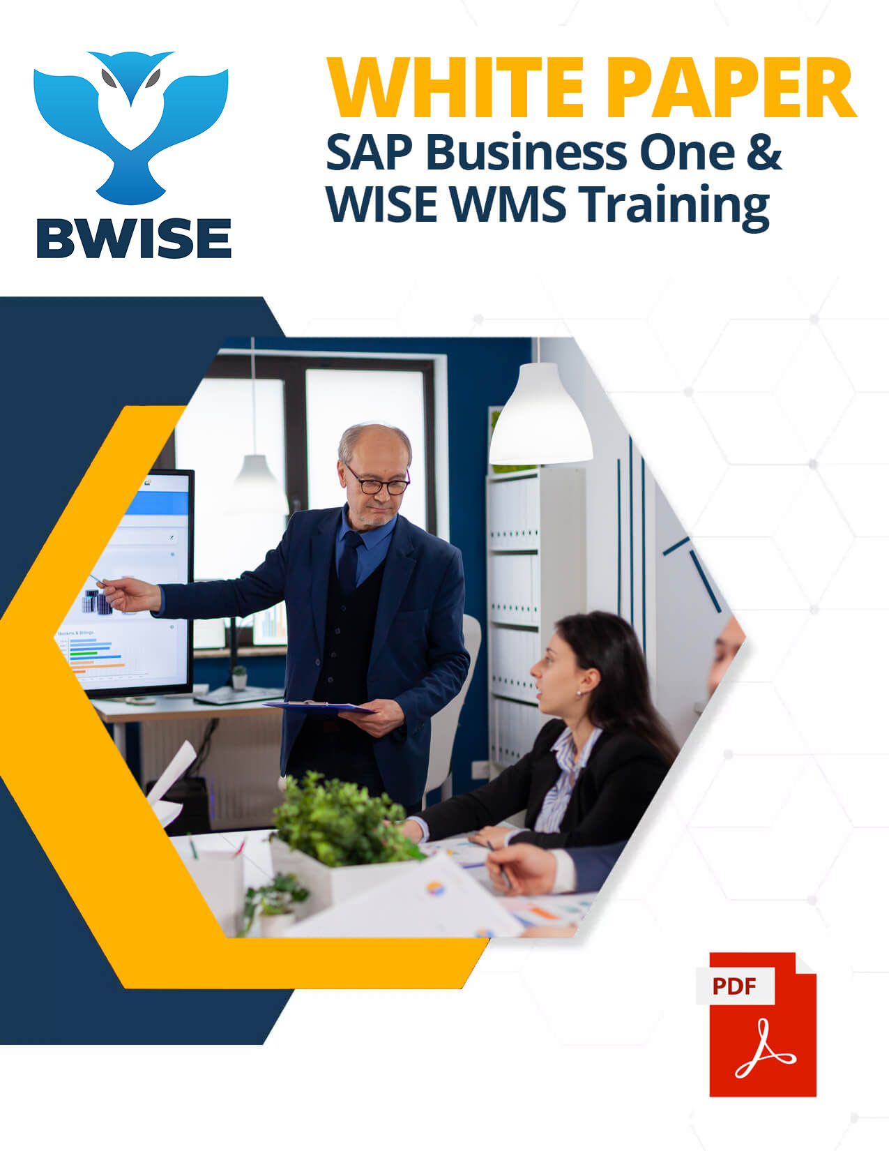 SAP AND WISE TRAINING WHITE PAPER