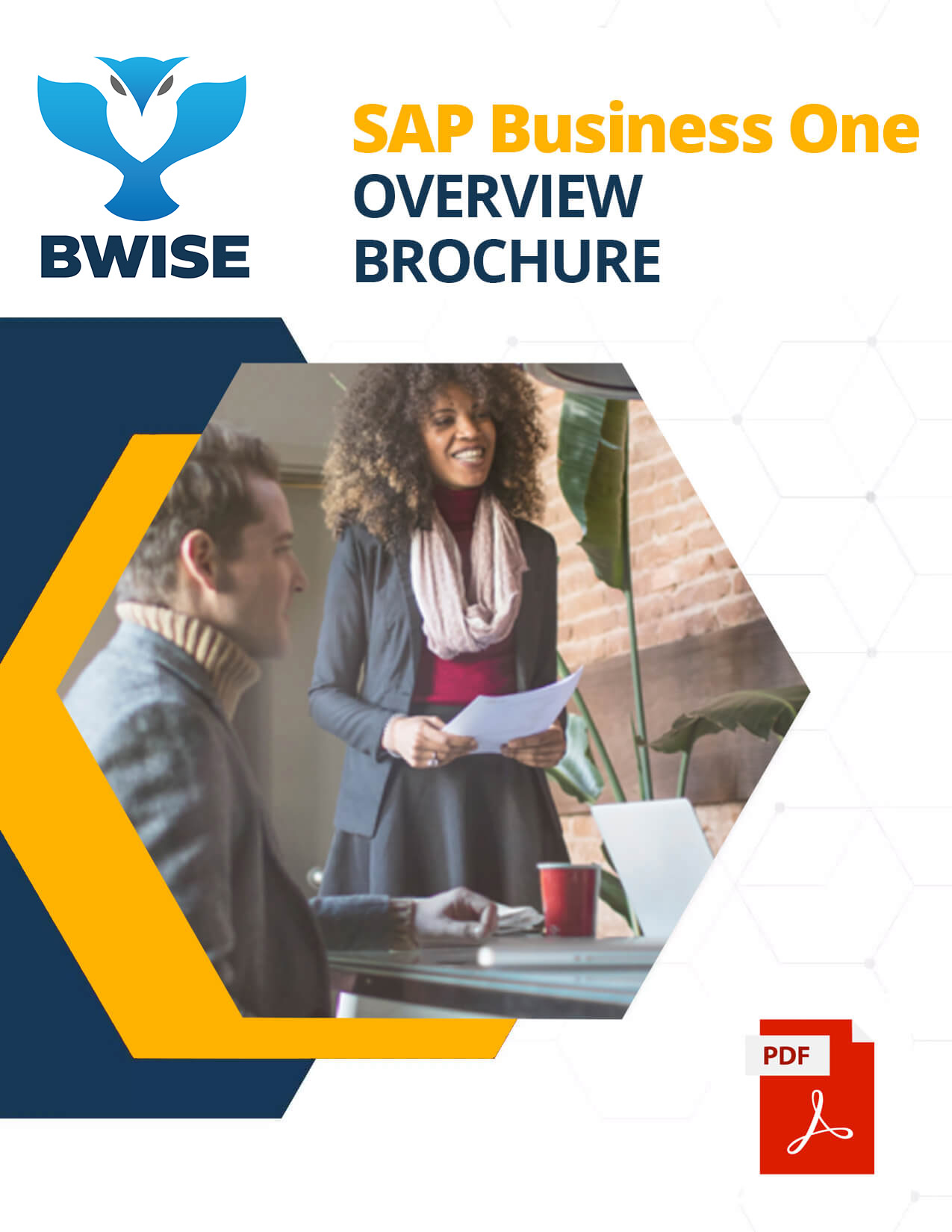 SAP BUSINESS ONE OVERVIEW BROCHURE