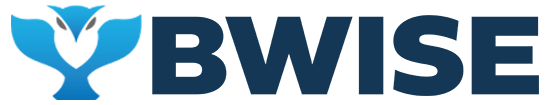 b1bwise logo