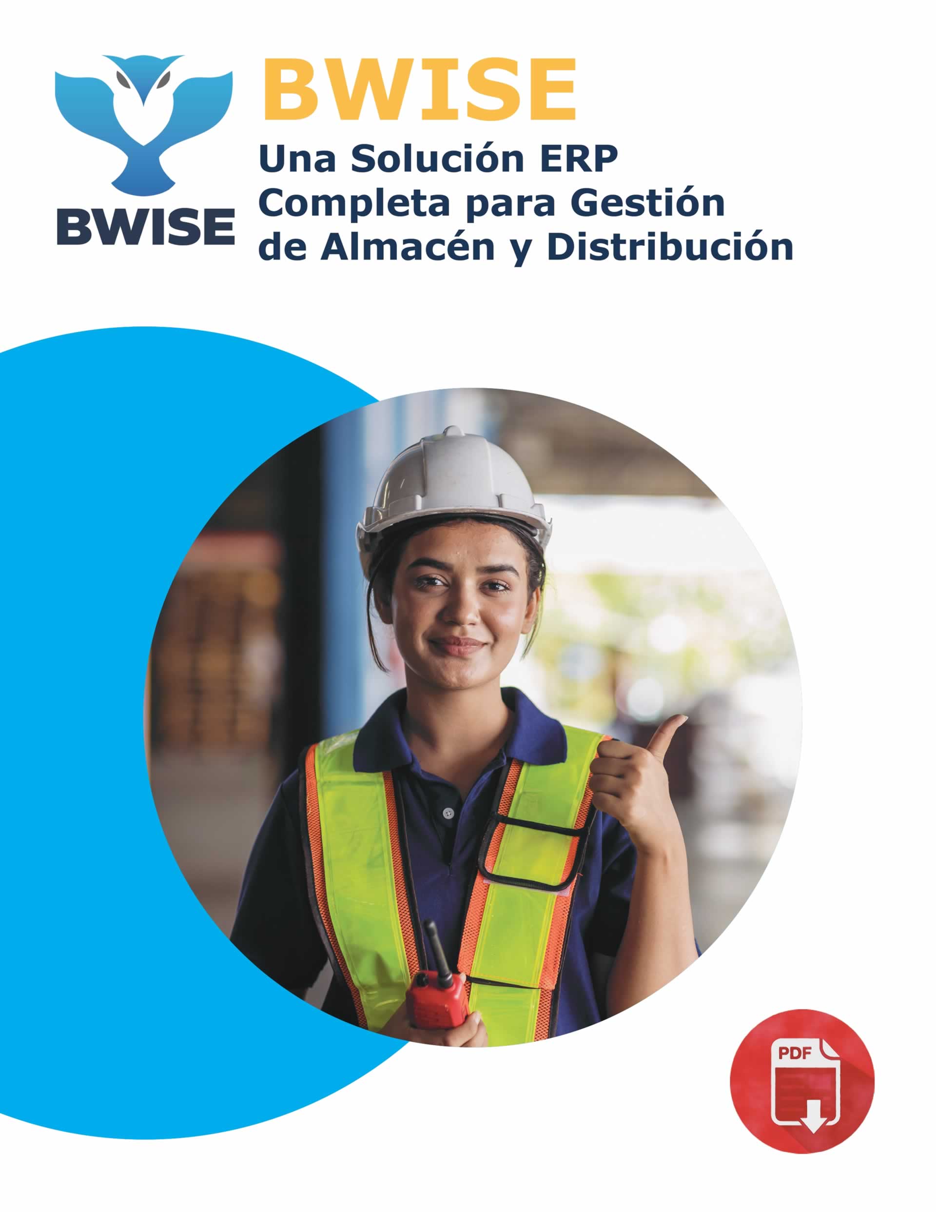 BWISE Full ERP Solution Spanish Brochure