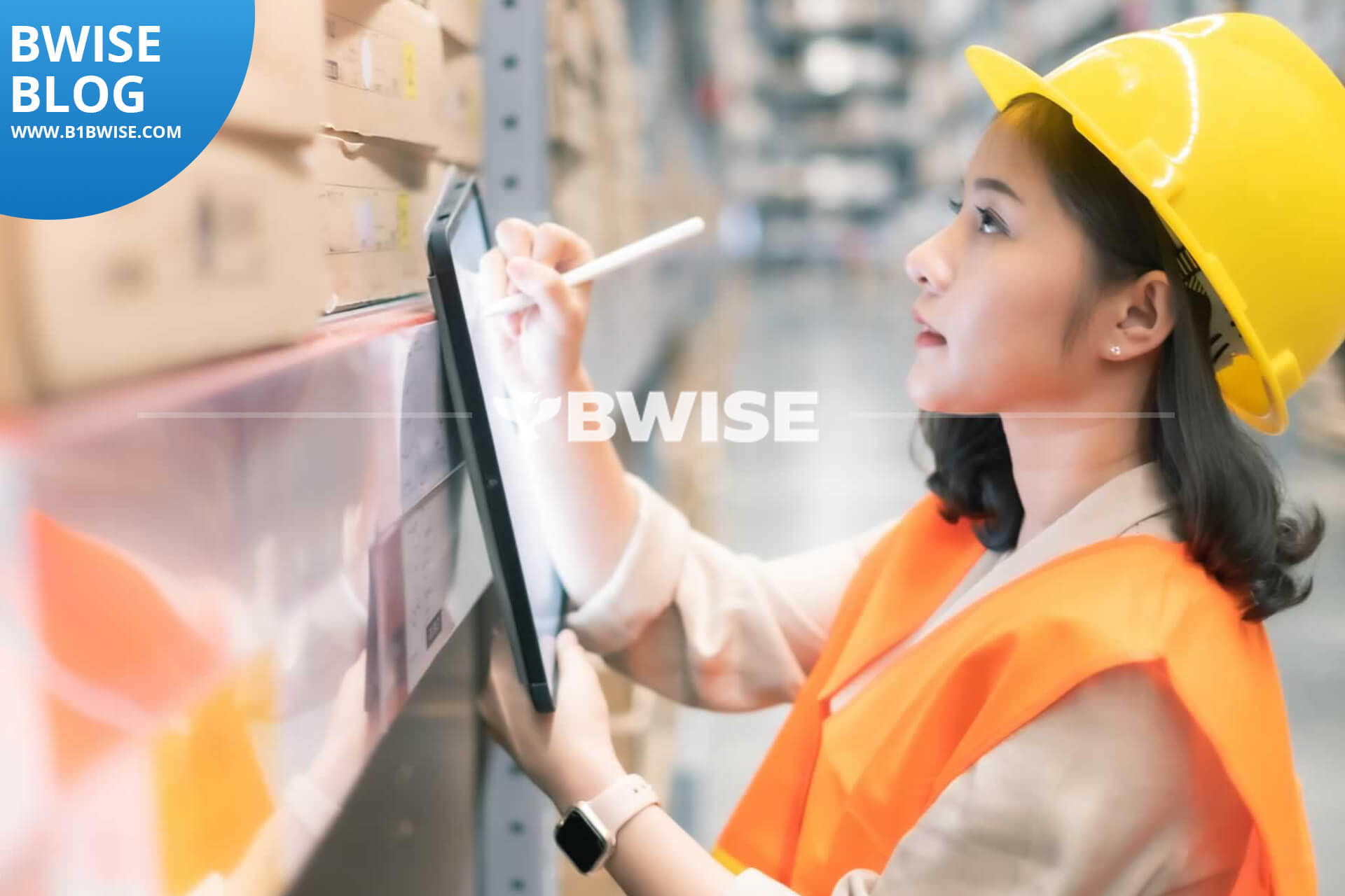 Warehouse Management 101 – An Introduction to WMS