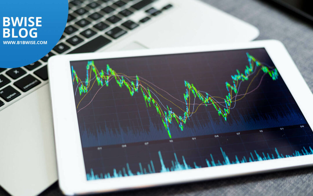 BWISE WISE WMS – The key to better inventory forecasting