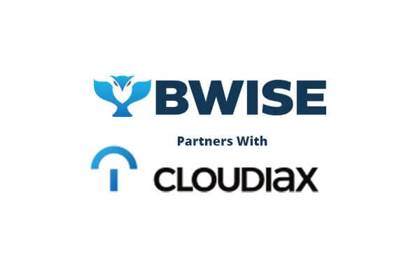 b1bwise logo