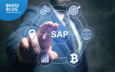 What Does SAP Stands for