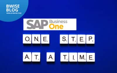 Basic Steps in Planning for an SAP Business One Implementation