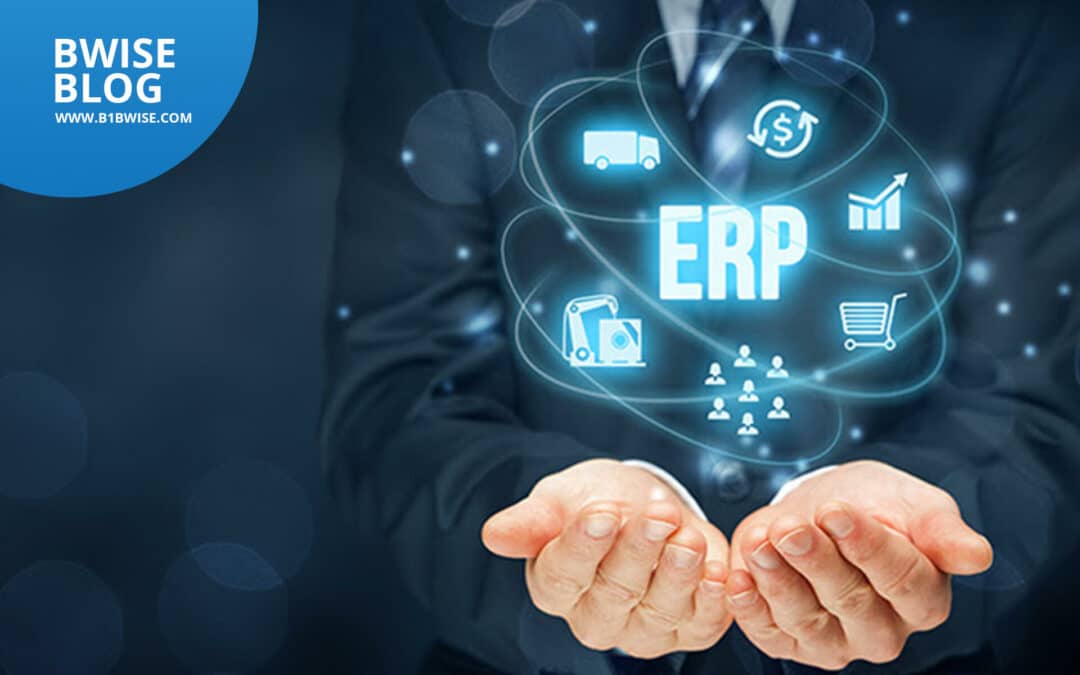 What are the Different Types of ERP?