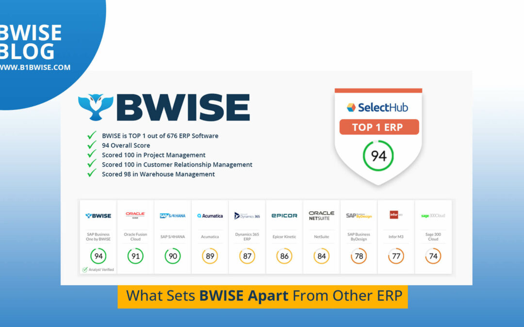 What Sets BWISE Solutions Apart from Other ERP