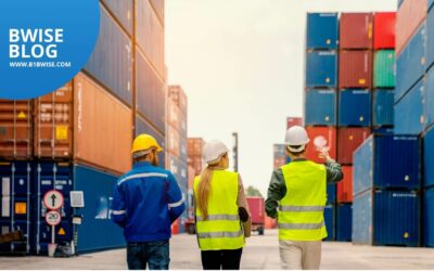 The Role of 3PL Software in Modern Supply Chain Management