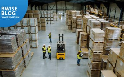 How WISE WMS can transform your Business Logistics