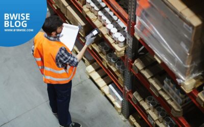 Optimizing E-Commerce with Warehouse Management Systems