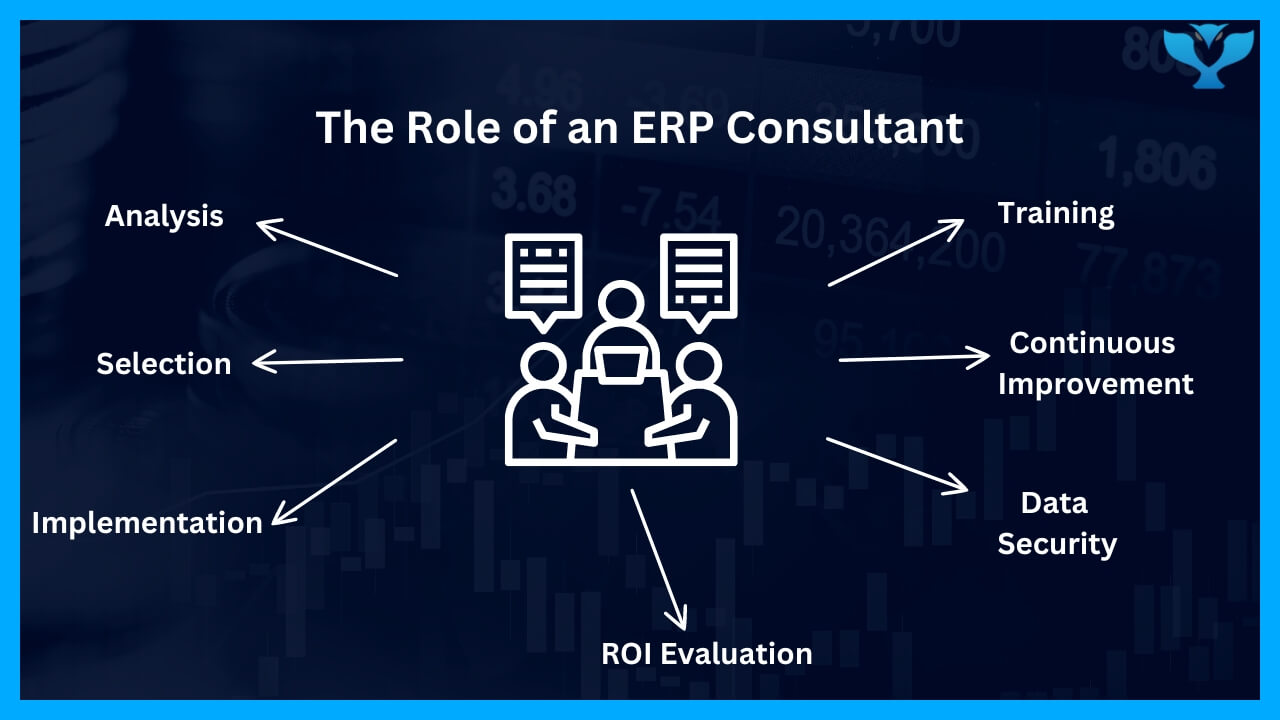 Your Go-To ERP Consultant for Business Growth