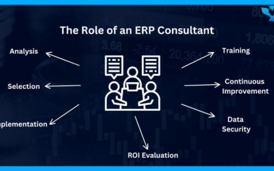 Your Go-To ERP Consultant for Business Growth