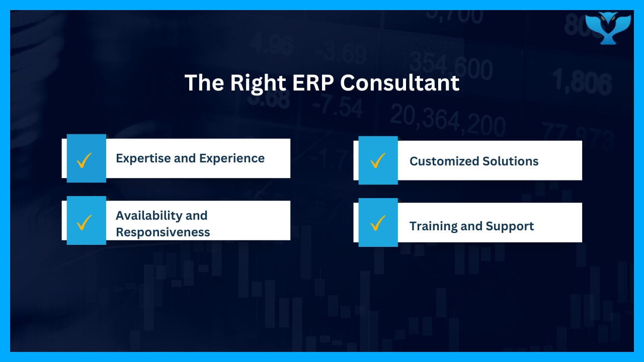 Finding the Right ERP Consultant