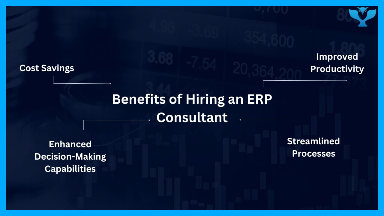 Benefits of Hiring an ERP Consultant