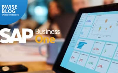 Maximizing Your Business Efficiency with Business One Software