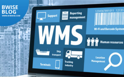 The Future of Warehouse Management: Why WMS solutions are Essential for Success