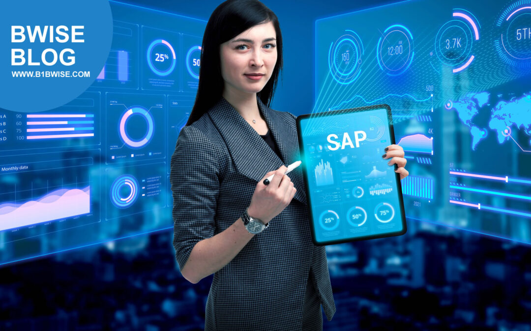 A Guide to SAP Business One Requirements