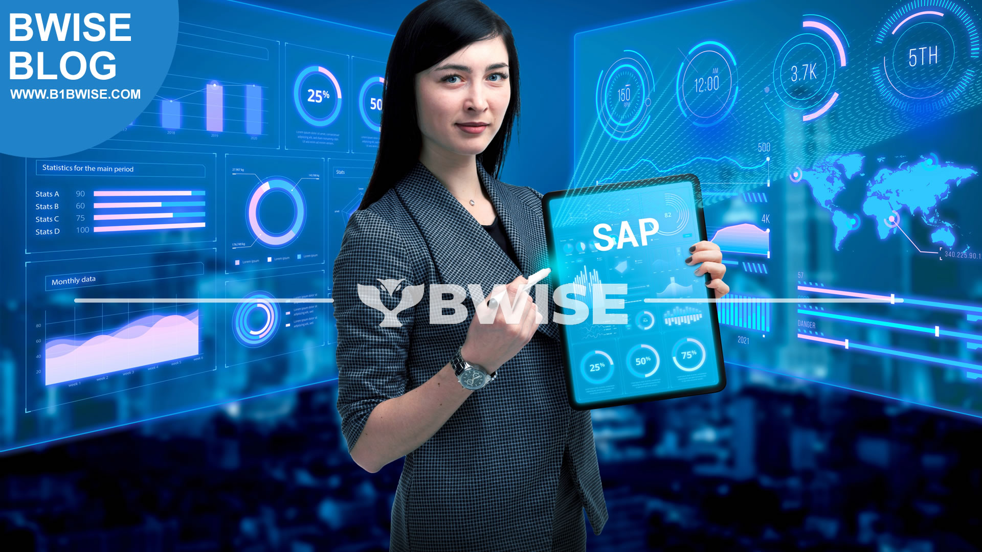 A Guide to SAP Business One Requirements