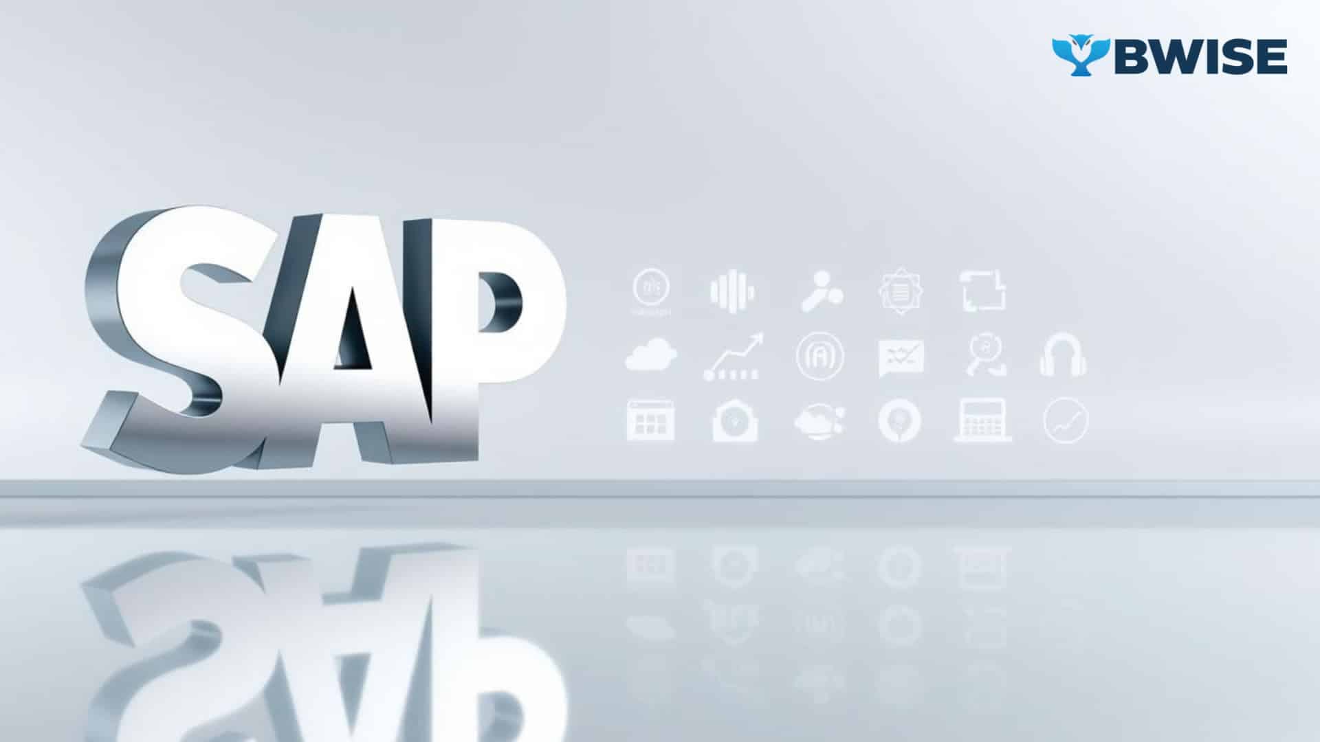 Understanding SAP's Technical Architecture