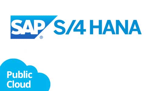 SAP S4 Hana PUBLIC CLOUD
